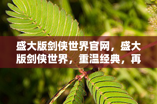 盛大版剑侠世界官网，盛大版剑侠世界，重温经典，再续江湖情缘