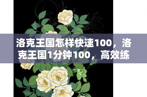 洛克王国怎样快速100，洛克王国1分钟100，高效练级与资源获取的秘诀