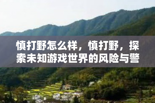 慎打野怎么样,慎打野,探索未知游戏世界的风险与警示 慎打野怎么样,慎打野,探索未知游戏世界的风险与警示