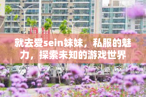 就去爱sein妹妹，私服的魅力，探索未知的游戏世界