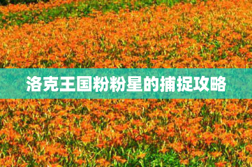洛克王国粉粉星的捕捉攻略