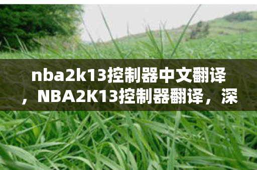 nba2k13控制器中文翻译,NBA2K13控制器翻译,深度解析与优化指南 nba2k13控制器中文翻译,NBA2K13控制器翻译,深度解析与优化指南