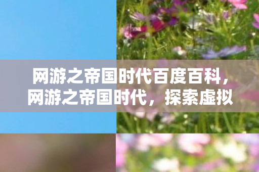 网游之帝国时代百度百科，网游之帝国时代，探索虚拟世界的无限可能