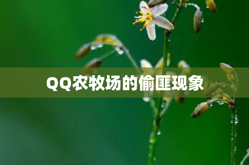 QQ农牧场的偷匪现象
