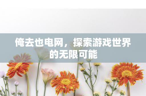 俺去也电网，探索游戏世界的无限可能