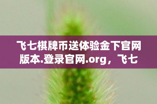 飞七棋牌币送体验金下官网版本.登录官网.org，飞七，探索游戏世界的无限可能