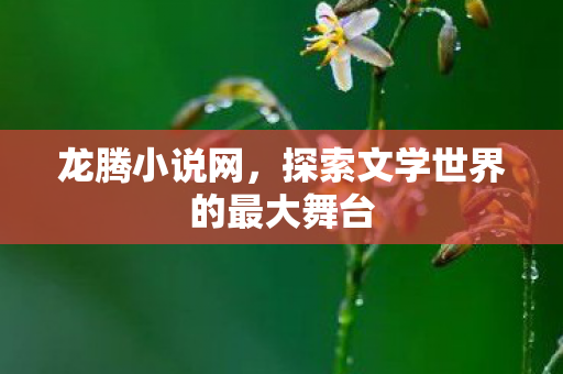 龙腾小说网，探索文学世界的最大舞台