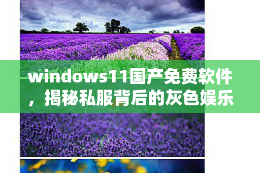 windows11国产免费软件，揭秘私服背后的灰色娱乐产业链