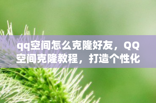 qq空间怎么克隆好友，QQ空间克隆教程，打造个性化主页的秘诀