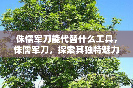 侏儒军刀能代替什么工具，侏儒军刀，探索其独特魅力与实用价值