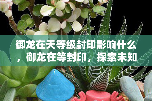 御龙在天等级封印影响什么，御龙在等封印，探索未知世界的奇幻之旅