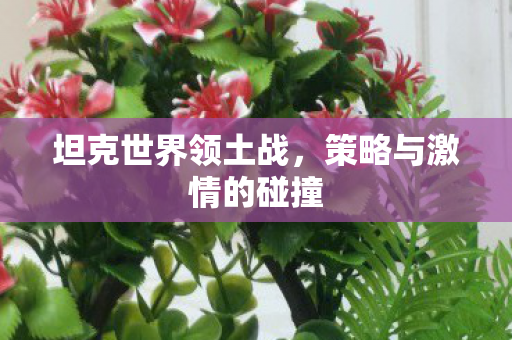 坦克世界领土战,策略与激情的碰撞 坦克世界领土战,策略与激情的碰撞