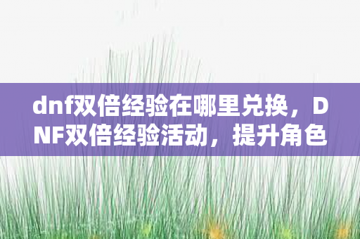 dnf双倍经验在哪里兑换,DNF双倍经验活动,提升角色等级,畅享游戏乐趣 dnf双倍经验在哪里兑换,DNF双倍经验活动,提升角色等级,畅享游戏乐趣