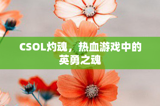 CSOL灼魂，热血游戏中的英勇之魂