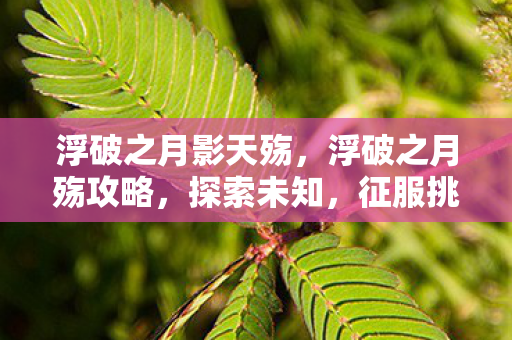 浮破之月影天殇，浮破之月殇攻略，探索未知，征服挑战