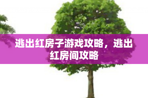 逃出红房子游戏攻略,逃出红房间攻略 逃出红房子游戏攻略,逃出红房间攻略