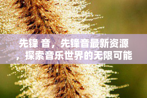 先锋 音，先锋音最新资源，探索音乐世界的无限可能