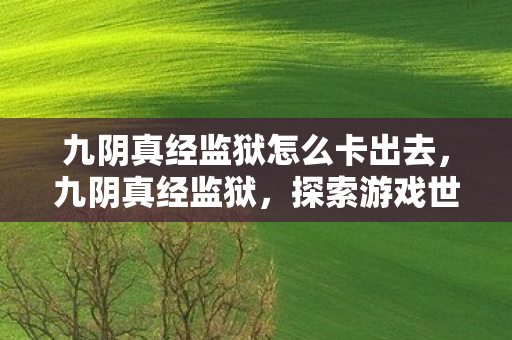 九阴真经监狱怎么卡出去,九阴真经监狱,探索游戏世界的法律边界 九阴真经监狱怎么卡出去,九阴真经监狱,探索游戏世界的法律边界