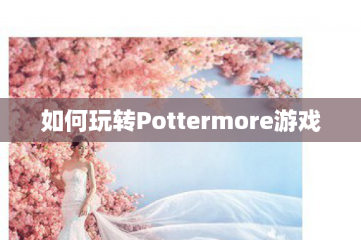 如何玩转Pottermore游戏