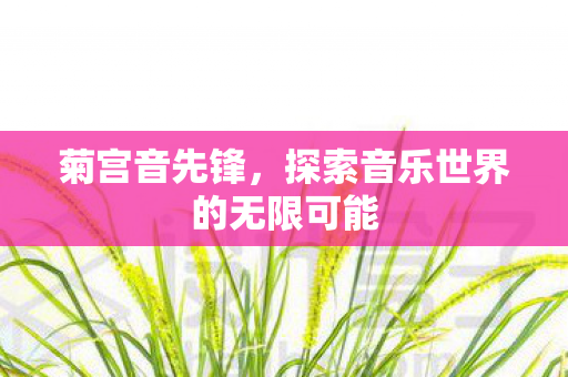 菊宫音先锋，探索音乐世界的无限可能