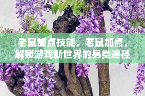 老鼠加点技能，老鼠加点，解锁游戏新世界的另类途径
