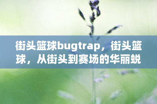 街头篮球bugtrap，街头篮球，从街头到赛场的华丽蜕变