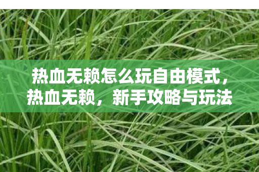 热血无赖怎么玩自由模式，热血无赖，新手攻略与玩法指南