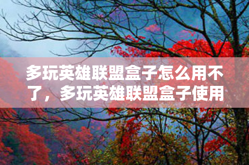 多玩英雄联盟盒子怎么用不了，多玩英雄联盟盒子使用指南