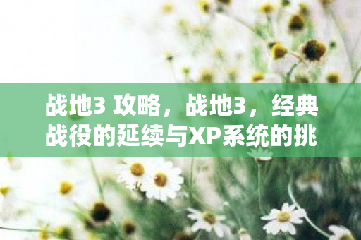 战地3 攻略，战地3，经典战役的延续与XP系统的挑战