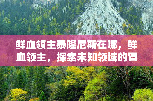 鲜血领主泰隆尼斯在哪,鲜血领主,探索未知领域的冒险之旅 鲜血领主泰隆尼斯在哪,鲜血领主,探索未知领域的冒险之旅