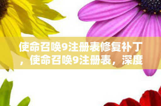 使命召唤9注册表修复补丁，使命召唤9注册表，深度解析与实用指南