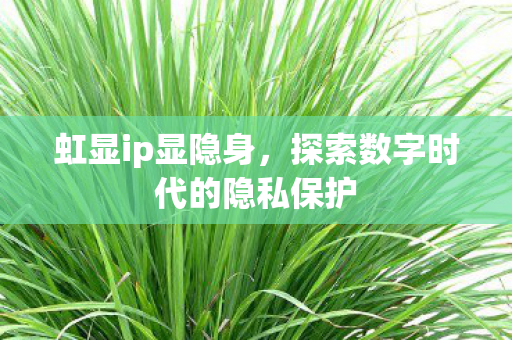 虹显ip显隐身，探索数字时代的隐私保护