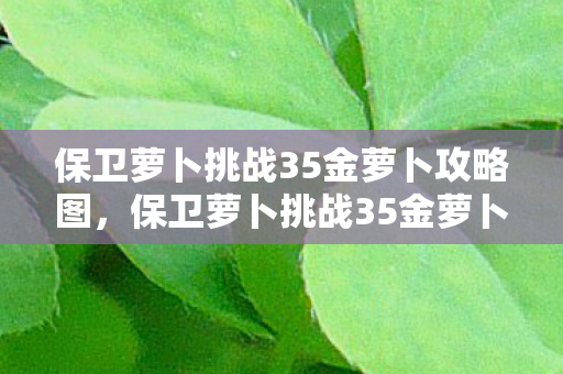 保卫萝卜挑战35金萝卜攻略图，保卫萝卜挑战35金萝卜攻略