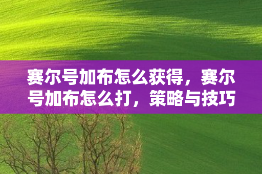 赛尔号加布怎么获得，赛尔号加布怎么打，策略与技巧详解