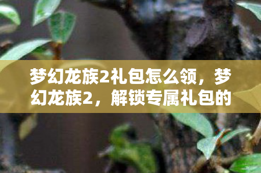 梦幻龙族2礼包怎么领,梦幻龙族2,解锁专属礼包的秘密 梦幻龙族2礼包怎么领,梦幻龙族2,解锁专属礼包的秘密