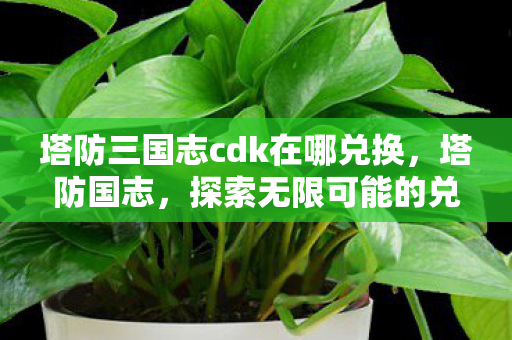 塔防三国志cdk在哪兑换,塔防国志,探索无限可能的兑换之旅 塔防三国志cdk在哪兑换,塔防国志,探索无限可能的兑换之旅