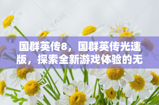 国群英传8,国群英传光速版,探索全新游戏体验的无限可能 国群英传8,国群英传光速版,探索全新游戏体验的无限可能