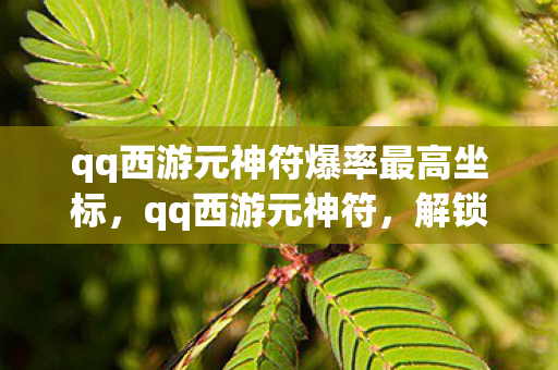 qq西游元神符爆率最高坐标，qq西游元神符，解锁游戏新境界的神奇钥匙