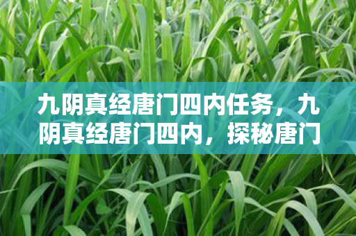 九阴真经唐门四内任务，九阴真经唐门四内，探秘唐门内功的奥秘
