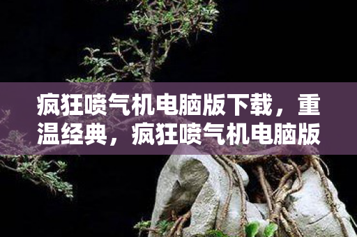 疯狂喷气机电脑版下载，重温经典，疯狂喷气机电脑版体验