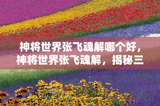 神将世界张飞魂解哪个好，神将世界张飞魂解，揭秘三国猛将的武魂奥秘