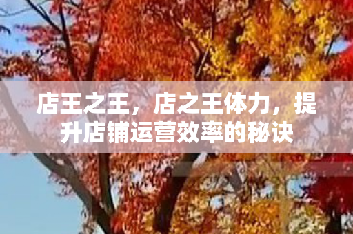 店王之王，店之王体力，提升店铺运营效率的秘诀