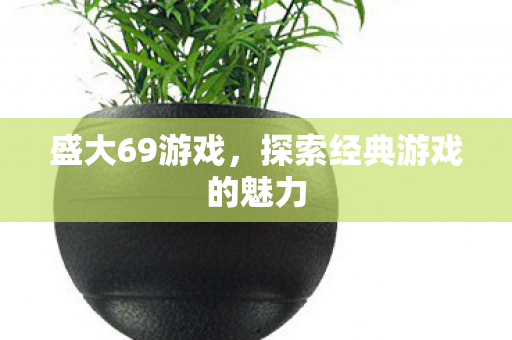 盛大69游戏，探索经典游戏的魅力