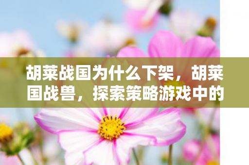 胡莱战国为什么下架,胡莱国战兽,探索策略游戏中的智慧与激情 胡莱战国为什么下架,胡莱国战兽,探索策略游戏中的智慧与激情