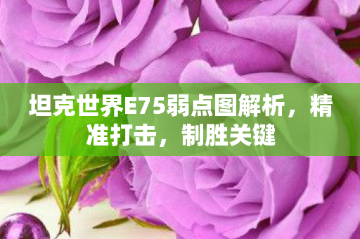 坦克世界E75弱点图解析，精准打击，制胜关键