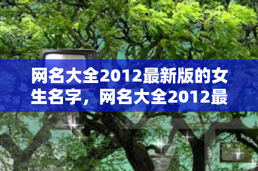 网名大全2012最新版的女生名字，网名大全2012最新版的女生