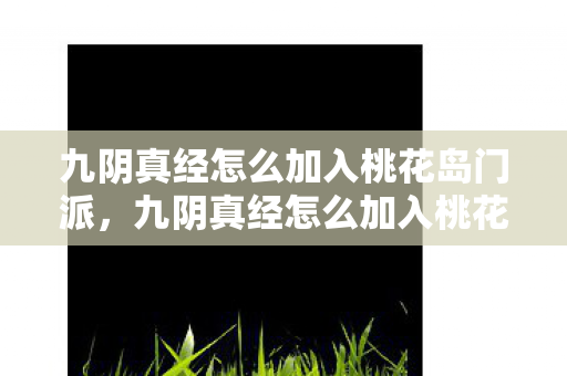 九阴真经怎么加入桃花岛门派，九阴真经怎么加入桃花岛