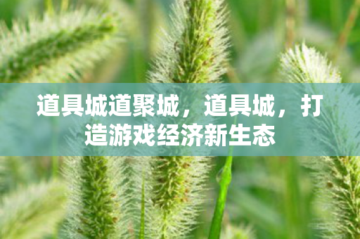 道具城道聚城，道具城，打造游戏经济新生态