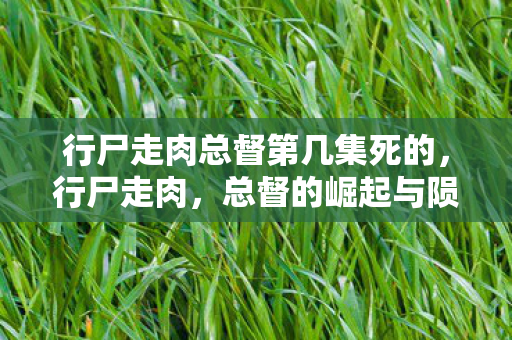 行尸走肉总督第几集死的，行尸走肉，总督的崛起与陨落