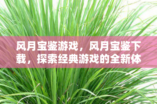 风月宝鉴游戏，风月宝鉴下载，探索经典游戏的全新体验